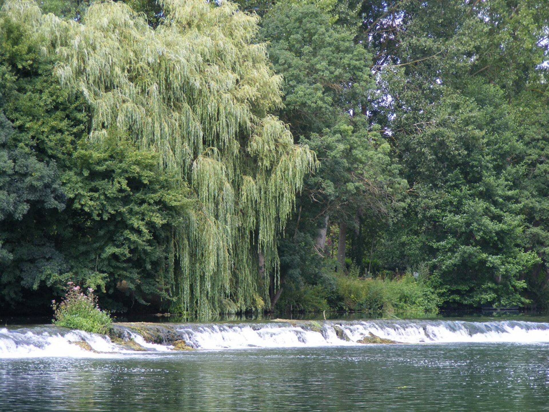 Écluse sur la Charente, balade au fil de l’eau